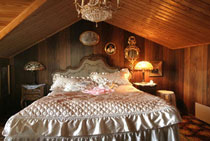 Hotelli Villa Antonius VIP Huone